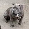 ADAMMOHL1 - @adammohl1 - TikTok