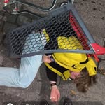 Adam Holm Ohlson - @adam.ohlson - Instagram