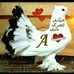 Adam Ol - Facebook