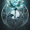 Adam Olender - @adam.olender25 - TikTok