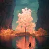 adamolic - @adamolic - TikTok