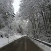 ADAM MOLIN - @adam.molin - TikTok