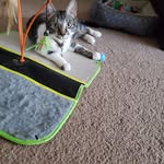 Adam Olin - @firefighter09100 - Instagram