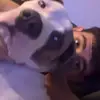 adamolivas733 - @adamolivas733 - TikTok