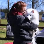 @adamoren_kennel - Instagram