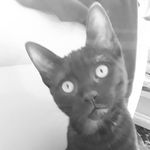Adam  :] - @adam_el_original - Instagram
