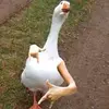 Adam Overton - @adam_overton05 - TikTok