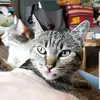 Adam Overton - @kadosh.x3 - TikTok
