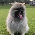 Adam Parker - @adamparksy - Instagram