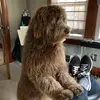 Adam Parrott - @adam.parrott8 - TikTok
