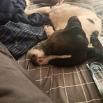 Adam Patten - Facebook