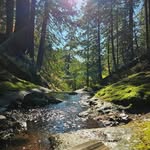 Adam Patton Bartholomew - @addy.pat - Instagram
