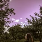 Payson - @payson_____adams_vtpzh - Instagram