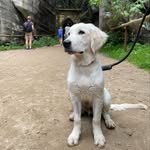 Adam - @adam_pecha_19 - Instagram