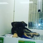 adam peffer - @pefferadam - Instagram