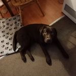 Adam Pegg - @goodold_adsy - Instagram
