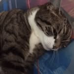 Adam Pelling - @adam_69_idek - Instagram