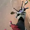 Adam Per - @adam.per5 - TikTok