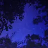 adamperched - @adamperched - TikTok