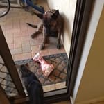 Adam Perrett - @herbert12300ap - Instagram