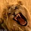 Adam Petit - @adam.petit - TikTok