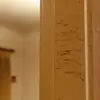 Adam Phipps - @adamphipps9 - TikTok