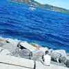 adam_pickering_02 - @adam_pickering_02 - TikTok