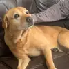 adampickrieng08 - @adampickering08 - TikTok