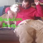 Adam Pipkins - @adampipkins82 - Instagram
