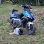 Adam plews - @adamplews20 - Instagram