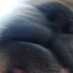 Adam Polański - @adamko44yt - Instagram