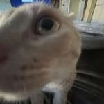 Adam Polis - @adam_p178 - Instagram