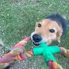 Adam Pons - @adam.pons9310 - TikTok