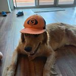 Adam Portman - @portman_adam - Instagram