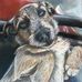 Adam Turnbull Portrait Artist - Facebook