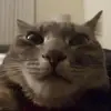 Adam.posts - @adam.posts - TikTok