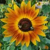 adamputhoff0 - @adam.puthoff - TikTok