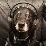 Adam Powers - @adam.c.p_ - Instagram