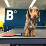 Adam Powers - @elsewhere.travel - Instagram