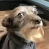 Adamgk1 - @adamprado2 - TikTok