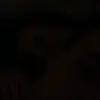 Adam Stampa - @adampress0 - TikTok