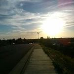 Adam Prieto - @adam.prieto - Instagram