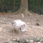 Adam Prosser-Gebhardt - @adamdpg - Instagram