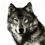 Adam Proud - @adam_rules04 - Instagram