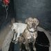 Adam Pruitt - Facebook