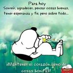 Adam Puga - @adam.puga.16 - Instagram