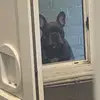 Adam Pullen763 - @adampullen5 - TikTok