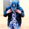 adamgkquay4 - @adamgkquay4 - TikTok