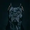 Hakeem Adama Quaye - @adamaquaye - TikTok