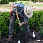 Adam Queen - @hortusvaria - Instagram